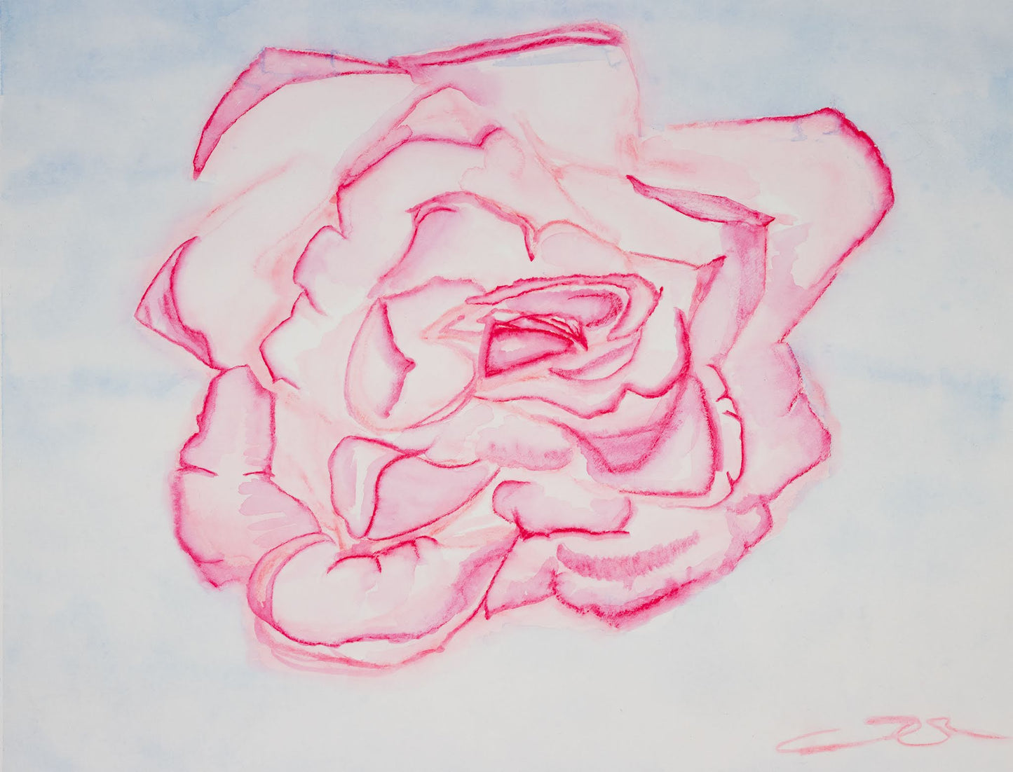 Pink Rose