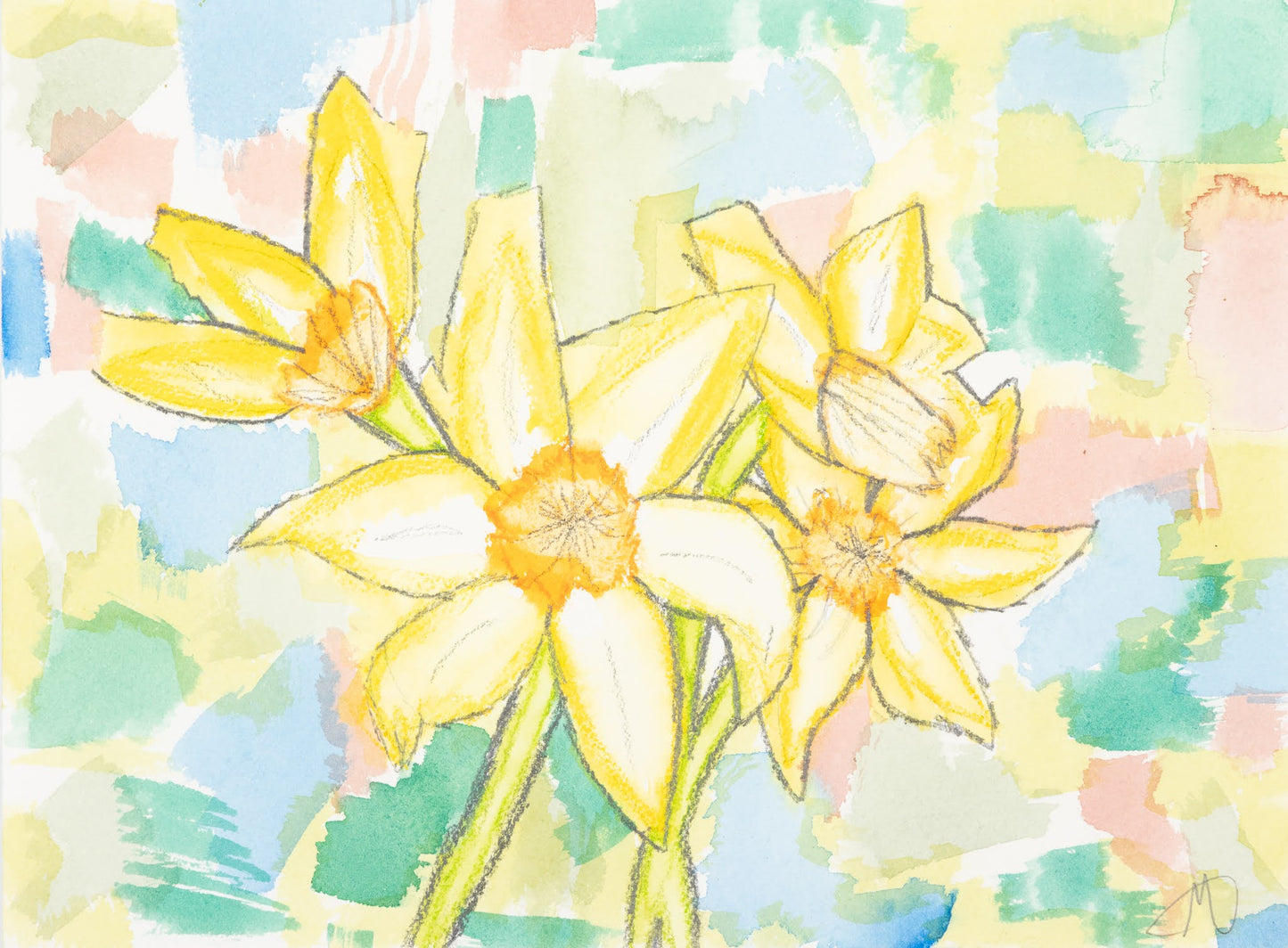 Daffodils