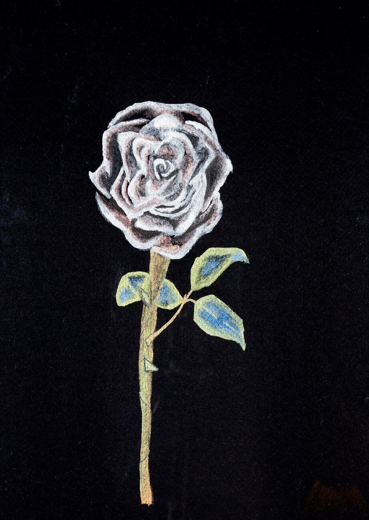 Lonesome Rose