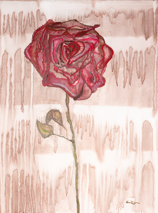 Rainy Day Rose